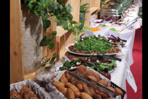 partyservice-sarter-bonn-5