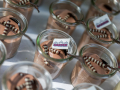 partyservice-sarter-bonn-06-4